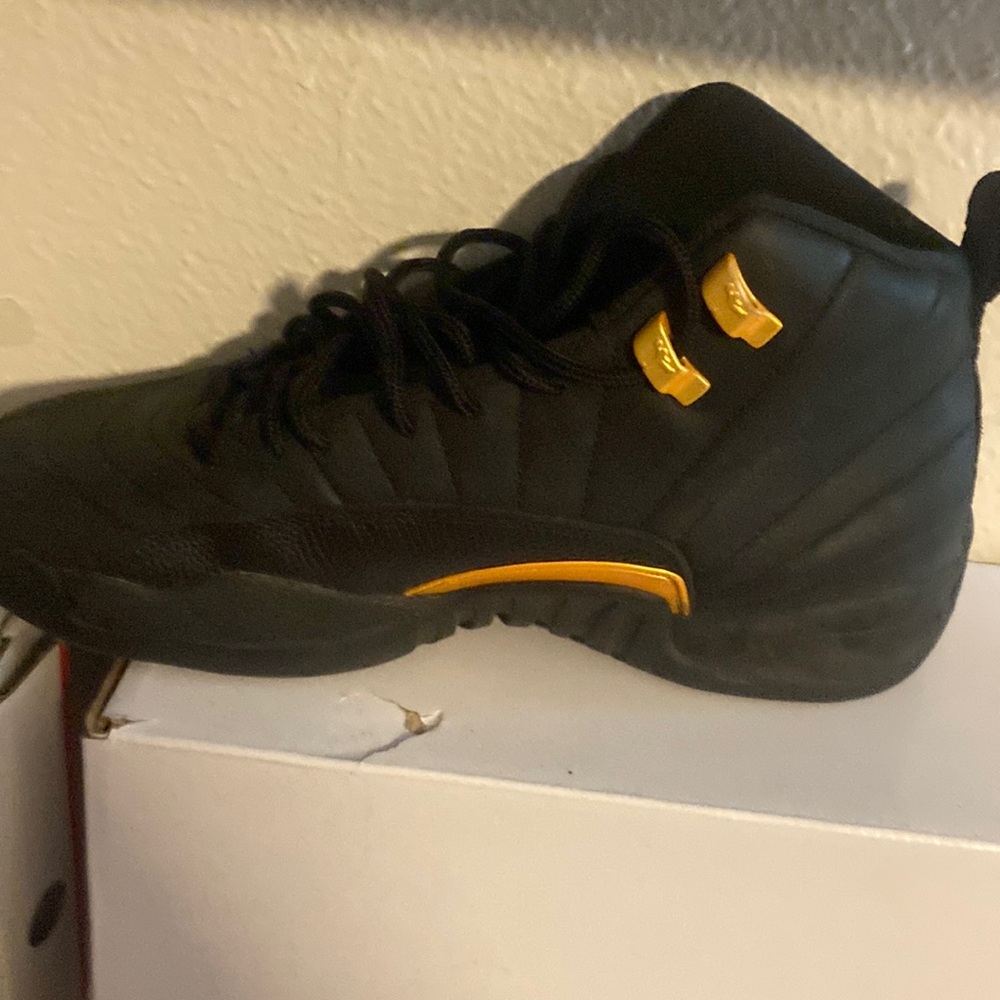 Jordan retro 12